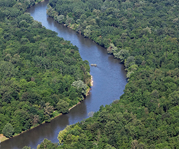 WWF kampány a Mura megmentéséért - Csatlakozz te is!